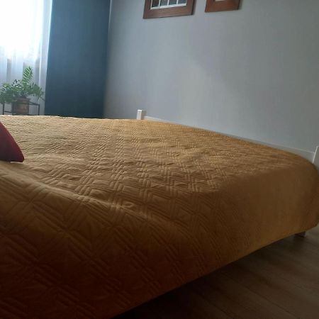 Mieszkanie Na Staszica W Gizycku Giżycko Exterior foto